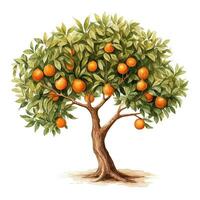 Orange tree, watercolor illustration. Single element, clipart for design. Generative AI photo