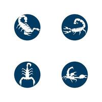 Scorpion icon and symbol vector template