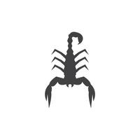 Scorpion icon and symbol vector template