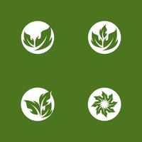 Green Leaf Nature Plant Conceptual Symbol Vector Illustration