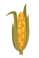 maíz en blanco trasfondo vector