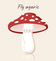 Fly agaric mushroom vector