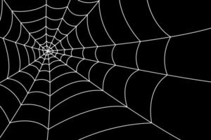 fondo de tela de araña vector