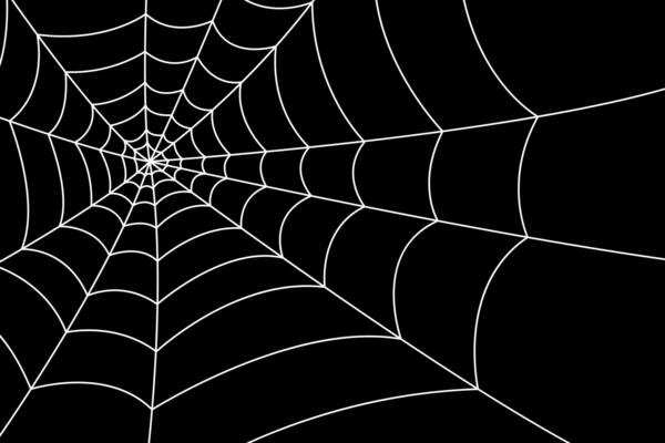 Spider web background