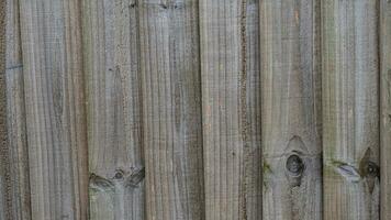 Natural Wood Grain Texture Background photo