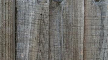 Natural Wood Grain Texture Background photo