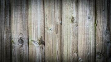 Natural Wood Grain Texture Background photo