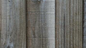 Natural Wood Grain Texture Background photo