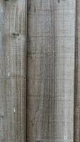 Natural Wood Grain Texture Background photo