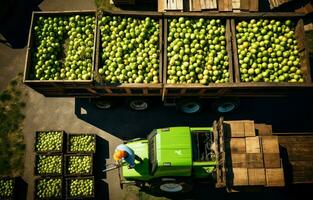 Apple harvesting, small loaders, forklift trucks, equipment loading a large truck, and wagon with large wooden crates full of green apples. a bird's-eye view. AI Generative photo