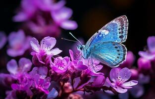 hermosa mariposa con púrpura y azul matices perchas delicadamente en un vibrante anémona bosque flor. ai generativo foto