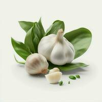 Fresh garlic with green leaves on a white background. This fruit is healthy and its green leaves are vibrant. AI Generative photo