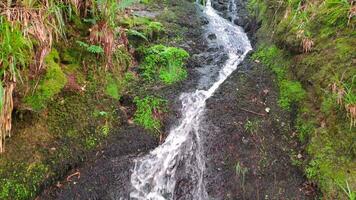 klein waterval in de Woud van huelgoat video