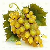 Yellow wet grapes bunch isolated flow green leaf a bunch of branch healthy fruit grape seeds drink wine, sweet. AI Generative photo