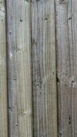 Natural Wood Grain Texture Background photo