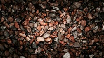 Gritty Texture of Gravel and Stones photo