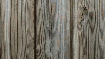 Natural Wood Grain Texture Background photo