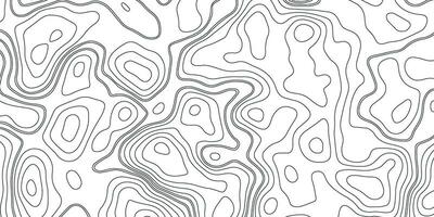 Topographic Background. Gray and White Abstract Background with Wavy Lines. Black and White Pattern of Lines and Curves. Topographic Topography vector