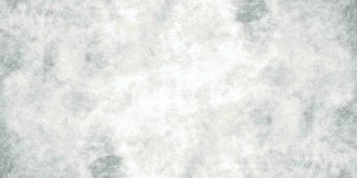 Watercolor Background. Monochrome White and Grey Watercolor Background. Gray Grunge texture. vector