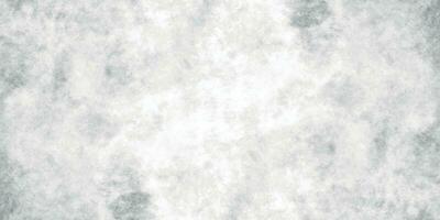 Watercolor Background. Monochrome White and Grey Watercolor Background. Gray Grunge texture. vector