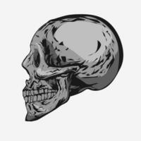 Detailed skull illustration side view with grey and black color vector