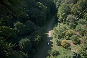 Captivating Aerial View of Lush Green Forest Canopy by David Johnson. AI Generated. photo