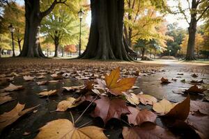 otoño s danza capturar el belleza de que cae hojas. ai generado. foto