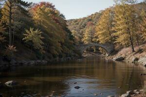 Nature s Frame A Stunning Fall Leaves Border Enveloping Serenity. AI Generated. photo