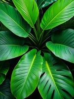 Tropical Oasis A Serene Escape into Nature s Embrace. AI Generated. photo