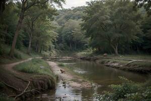 Nature s Resurgence A Captivating Glimpse of Ecosystem Restoration by Michael Smith. AI Generated. photo