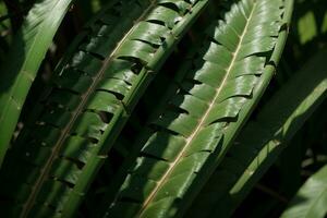 encantador belleza de palma hojas en naturaleza. ai generado. foto