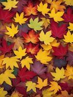 Colorful Fall Leaves Background in Soft Lighting. AI Generated. photo