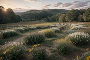 Nature s Colorful Canvas A Field of Blooming Flowers. AI Generated. photo