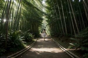 Tranquil Bamboo Forest Walk Sunlit Pathways Amidst Nature s Beauty. AI Generated. photo