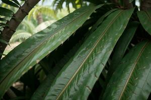 Lush Tropical Beauty Vibrant Green Palm Leaves in Close up Shot. AI Generated. photo