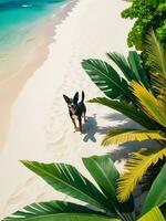 Serene Summer Vibes at a Tropical Beach Resort. AI Generated. photo