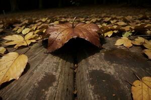 cautivador otoño bosque brillo. ai generado. foto