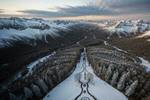 Winter Wonderland Aerial View of Snow Covered Trees in Nature s Beauty. AI Generated. photo