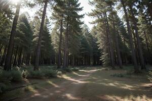 susurros de naturaleza un sereno viaje mediante el pino bosque. ai generado. foto