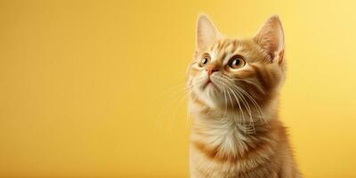 jengibre gato en suave color fondo, alto calidad, octano prestar. generativo ai foto