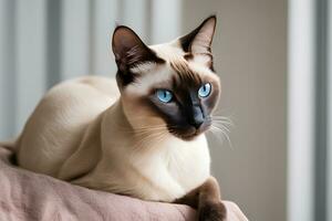 Popular Cat Portraits. Stunning photo of popular pet cat breeds. Ai Generative