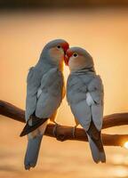 Capturing Love Birds. Heartwarming Photos of Affectionate Avian Couples. Ai Generative