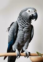 Wings of Africa. Capturing Vibrant Pet Parrots Through the Lens. Ai Generative photo