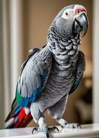 Wings of Africa. Capturing Vibrant Pet Parrots Through the Lens. Ai Generative photo