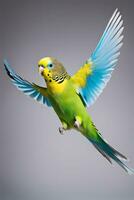 Budgerigar Beauty. Colorful and Captivating Avian Portraits. Ai Generative photo