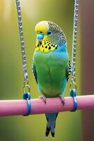 Budgerigar Beauty. Colorful and Captivating Avian Portraits. Ai Generative photo