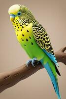 Budgerigar Beauty. Colorful and Captivating Avian Portraits. Ai Generative photo