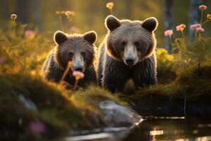 oso pardo oso madre y cachorros hd calidad maquinilla de afeitar agudo imágenes ai generativo foto