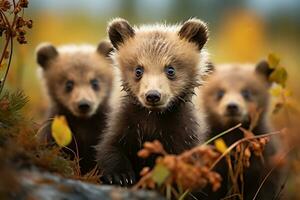 Grizzly bear mother and cubs. HD Quality Razor sharp images. Ai Generative photo