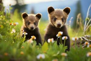 Grizzly bear mother and cubs. HD Quality Razor sharp images. Ai Generative photo